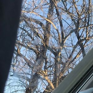 Meet your Posher, Sofia